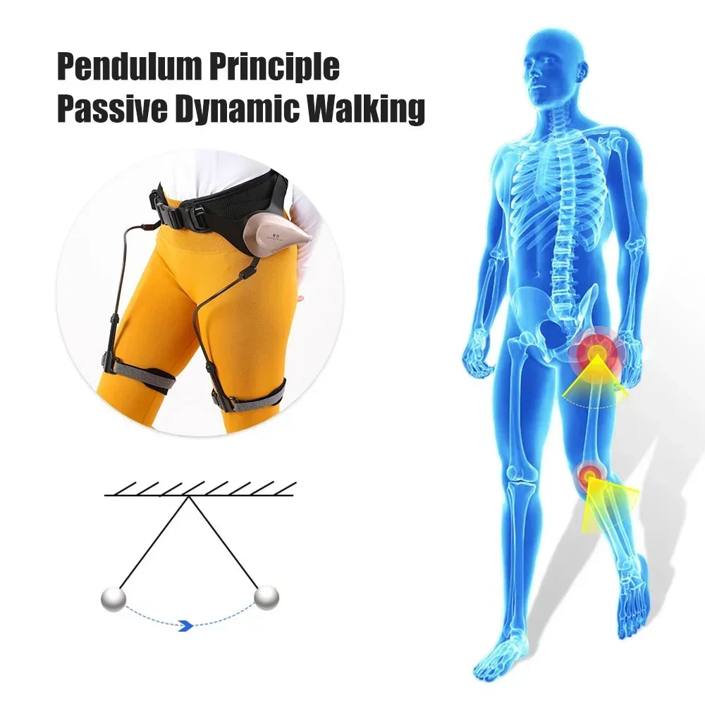 Bionische Exoskelett-Gehhilfen