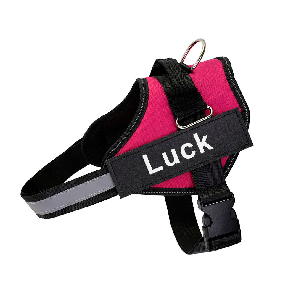 Luminis TrainEase™ Anti-Pull Hundegeschirr