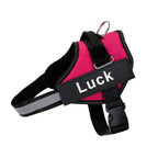 Luminis TrainEase™ Anti-Pull Hundegeschirr