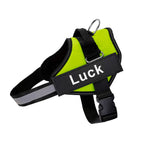Luminis TrainEase™ Anti-Pull Hundegeschirr