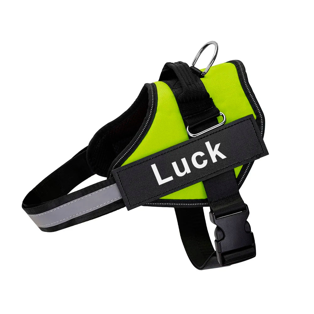 Luminis TrainEase™ Anti-Pull Hundegeschirr