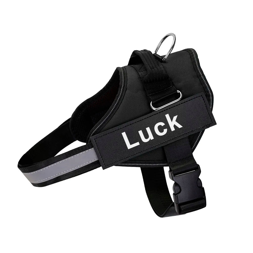Luminis TrainEase™ Anti-Pull Hundegeschirr