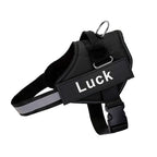 Luminis TrainEase™ Anti-Pull Hundegeschirr