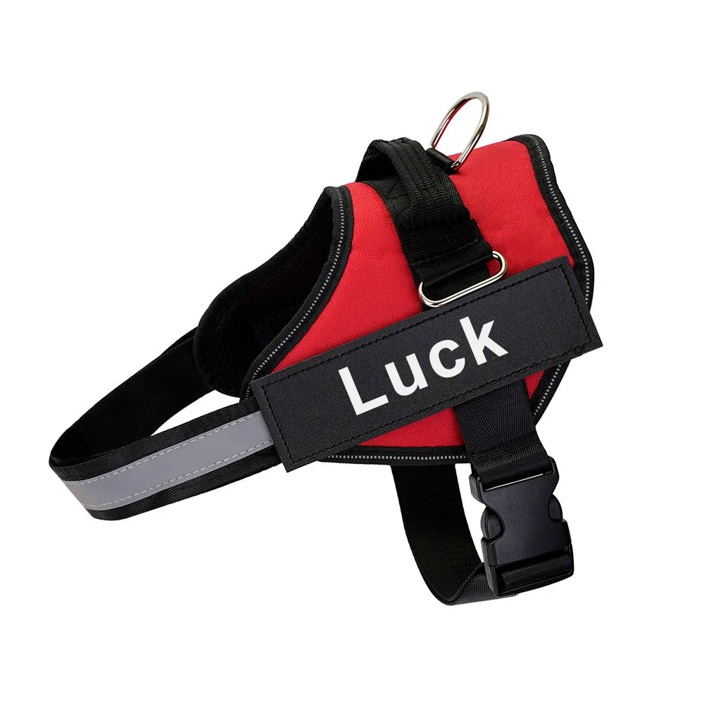 Luminis TrainEase™ Anti-Pull Hundegeschirr