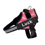 Luminis TrainEase™ Anti-Pull Hundegeschirr