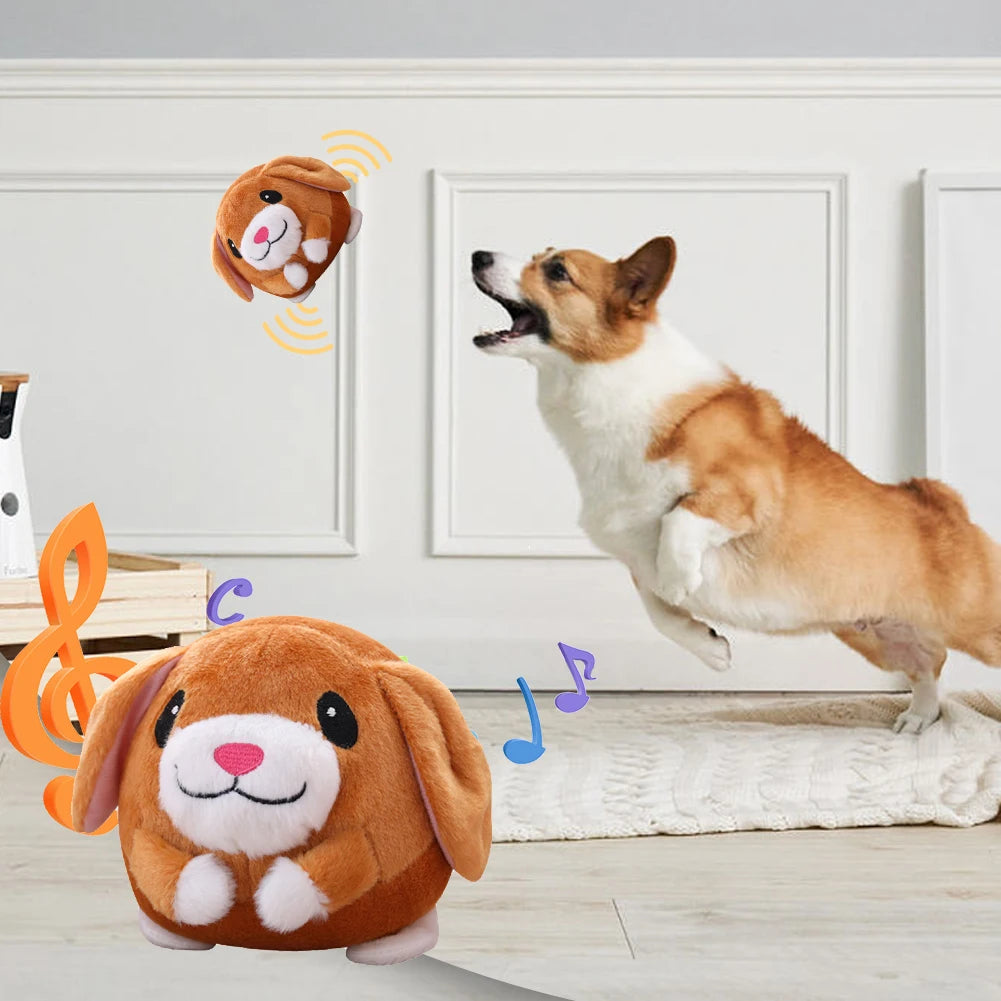 JumpPaws™ – Das interaktive Hundespielzeug gegen Langeweile & überschüssige Energie