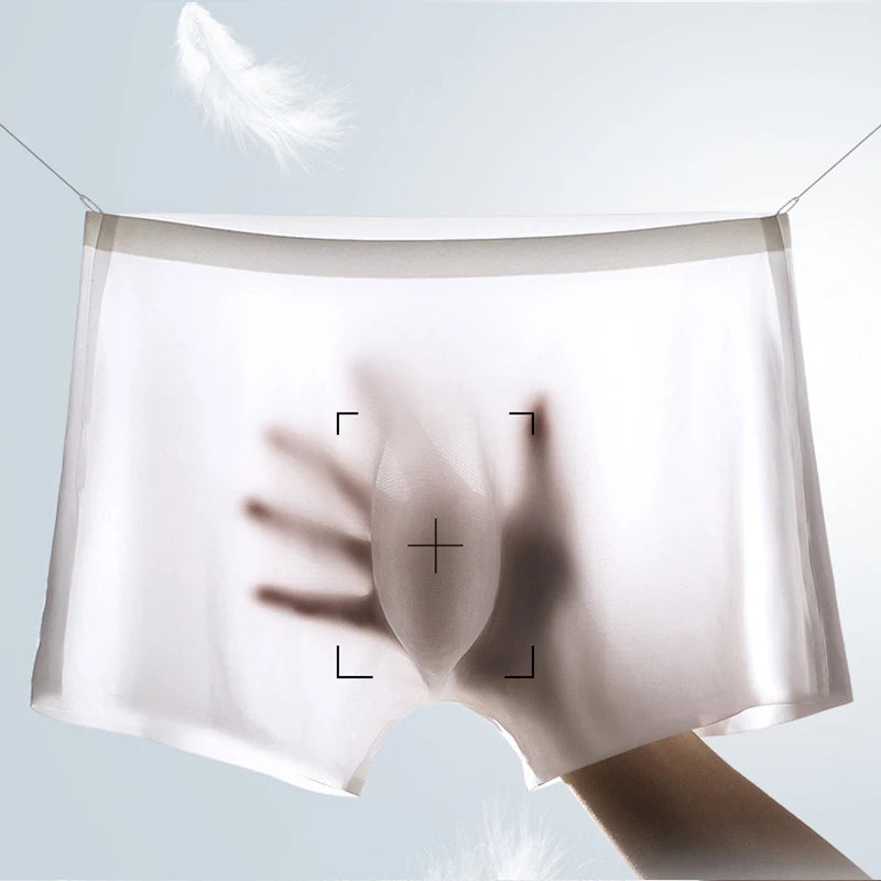 Nahtlose Boxershorts aus Eisseide für Herren