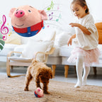 JumpPaws™ – Das interaktive Hundespielzeug gegen Langeweile & überschüssige Energie