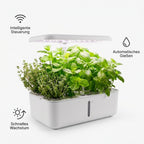 GreenPod – Dein smarter Kräutergarten inkl. App