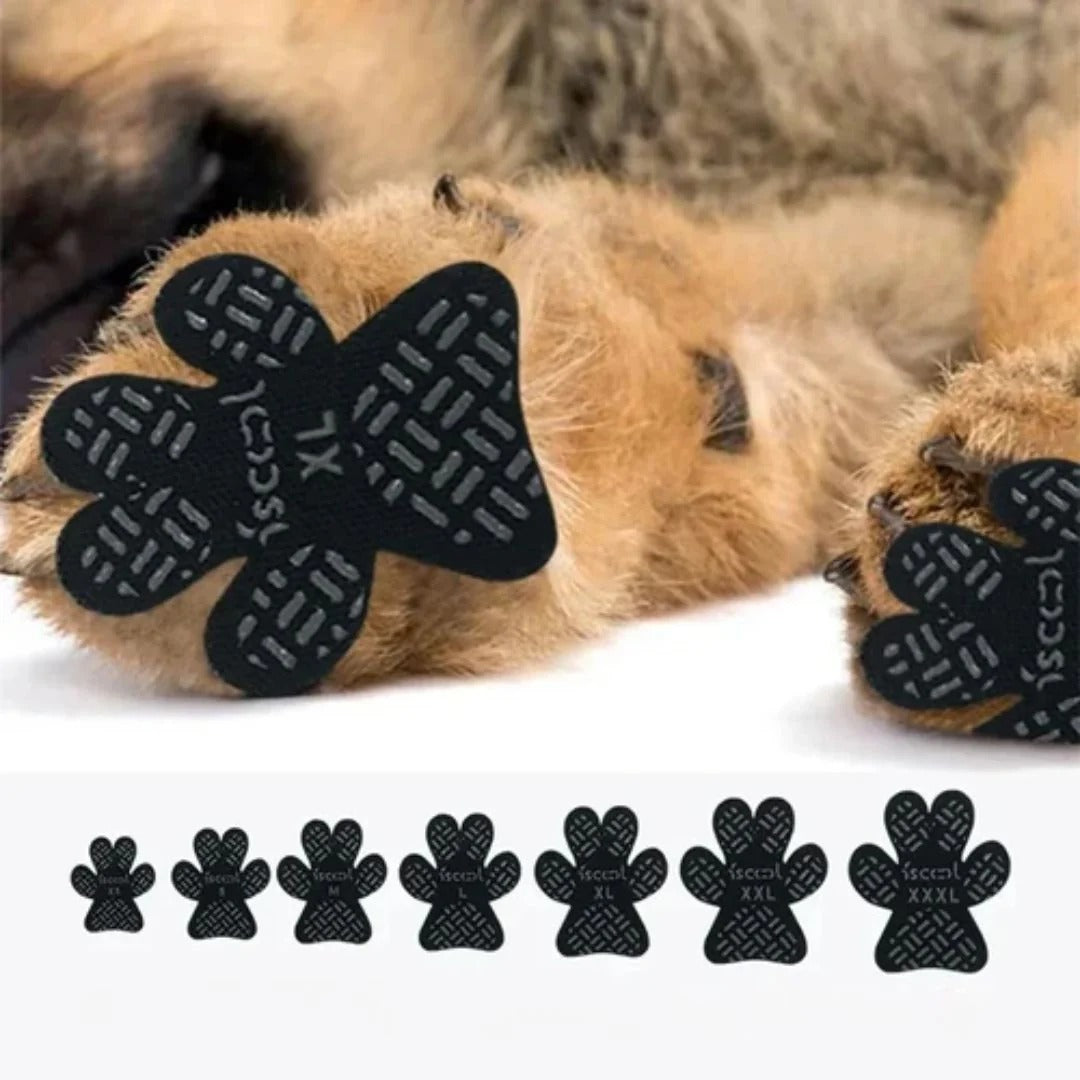 Luminis PawGrip™ – Anti-Rutsch-Pfoten-Griffe für sicheren Halt auf jedem Boden