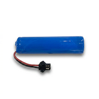 Extra battery