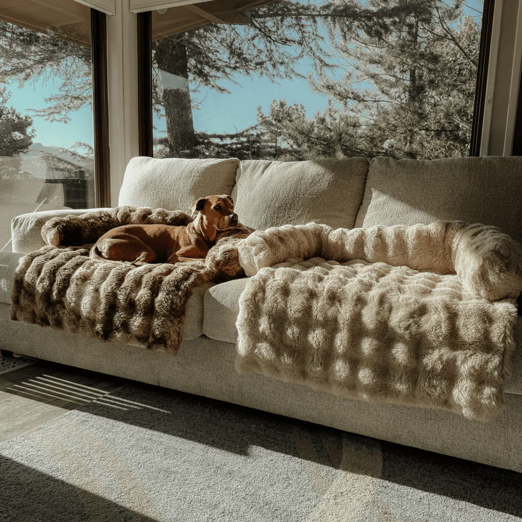 Luminis CozyNest™ Haustierbett – Luxuriöser Komfort & Geborgenheit für Ihren Liebling